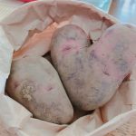 じゃがいもと片栗粉さえあればイモもちが簡単に作れます！