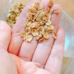 「バーリーマックスフレーク」は、オートミールの代りになるか？味や食感を食レポします！