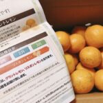 【グラントレモンは華やかな香り。島レモンと比べてみる】くまもと風土の「訳ありレモン」を買ってみました