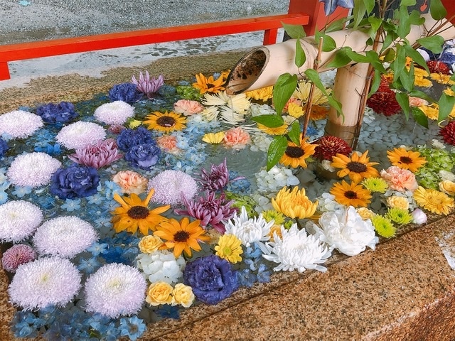 鶴岡八幡宮花手水の写真